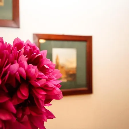 Yourbanflat Santa Rosa * Padova